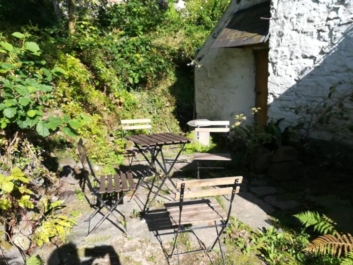 Relaxing Pet Friendly 2-Bed Cottage In Rhandirmwyn แลนโดเวรี ภายนอก รูปภาพ