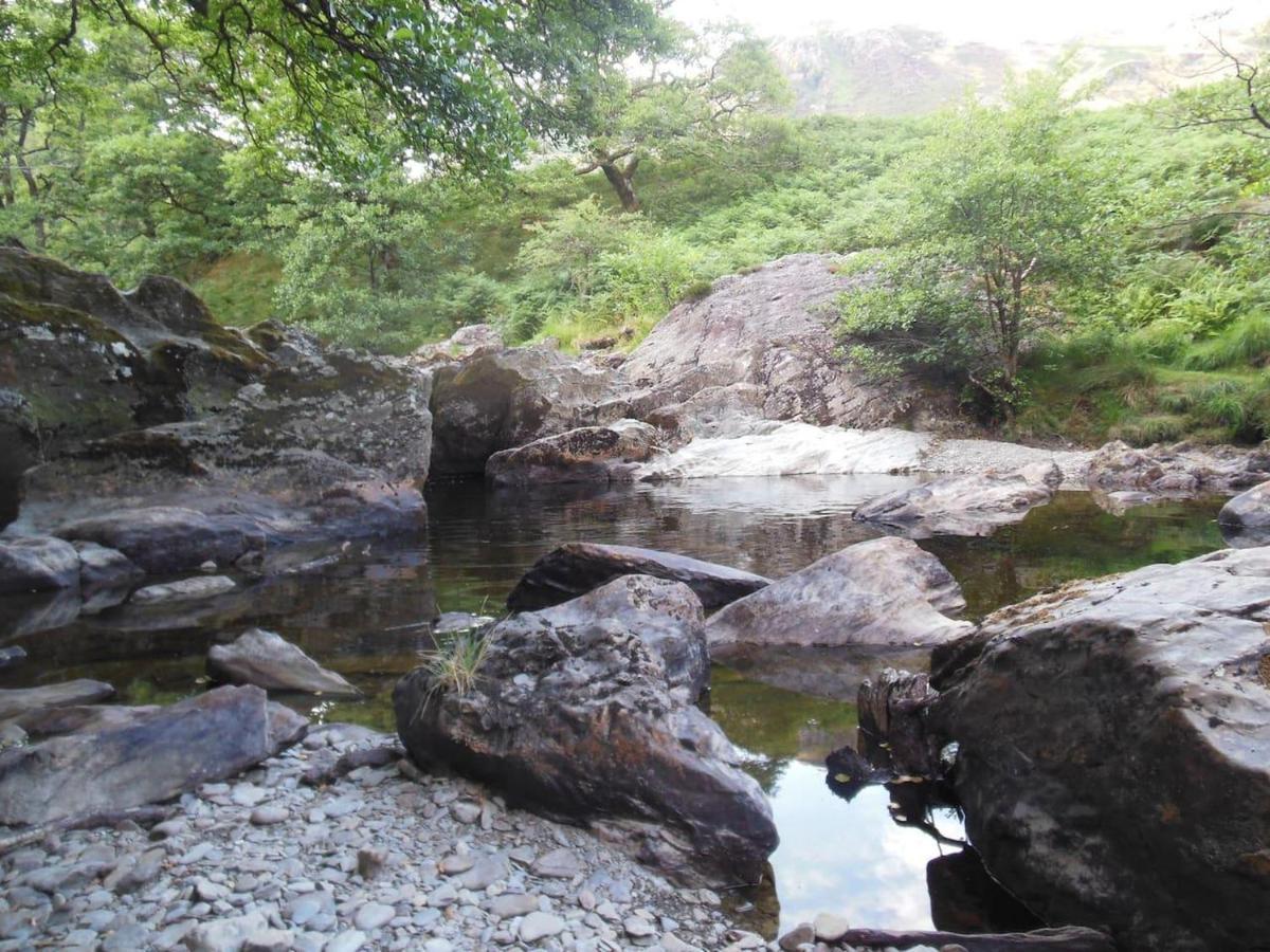 Relaxing Pet Friendly 2-Bed Cottage In Rhandirmwyn แลนโดเวรี ภายนอก รูปภาพ